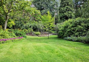 Optimiser l'expérience du jardin à Steinsoultz